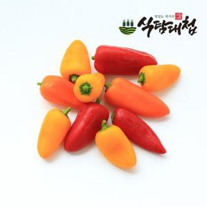 갤러리아_식탐대첩 국내산 미니 파프리카 500g