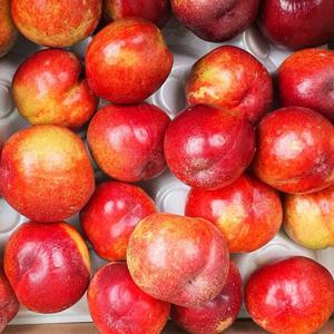 Fresh 새콤달콤 의성 대석 로얄대석 자두 3kg 40-80g 박스출고