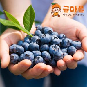 귤마을 국내산 생블루베리 1kg 개당16mm이상