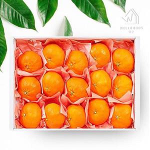 갤러리아_[웰굿]제주직송 레드향 선물세트 1.5kg(10-12과,소과)