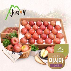산지애 알뜰 못난이사과(소과) 4.5kg 2box