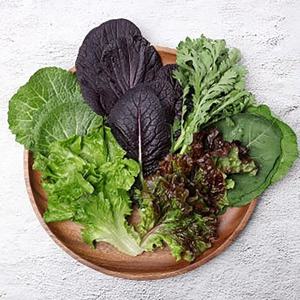 국내산 충주 유기농 쌈채소 1kg