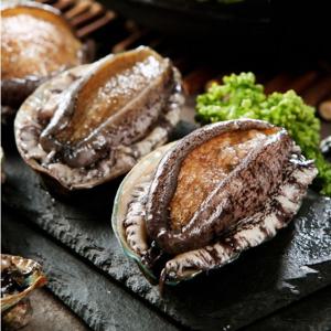 해신수산 완도활전복 특특대 9∼11미 1kg