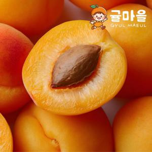 귤마을 국내산 살구 5kg 내외 중대과