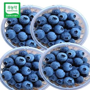 친환경 국산 무농약 생블루베리 블루베리 국내산 생과 선물용
