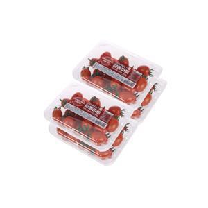 [APP전용] 스테비아 대추방울토마토 2kg