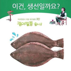 [아우트]본사 특허 광어 인형필통 우럭 필통 물고기 생선