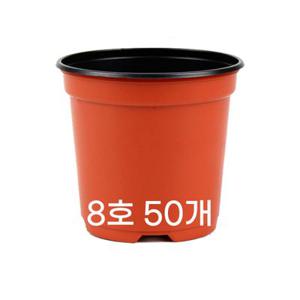 모두다 플라스틱화분 플분 모종화분 이색포트 8호 적색 100개