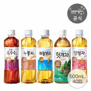 웅진식품 차음료 하늘보리/헛개/누룽지/자색옥수수/결명자 500mL 20개 2박스