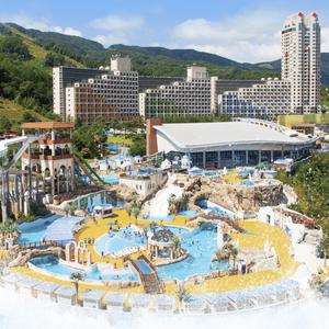 [단독기획] 평창 휘닉스파크 룸온리&썸머 패키지, 투숙기간 8월 31일까지, 롯데온 단독 특전혜택에 추가 할인까지