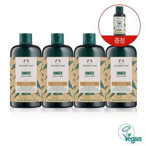 [롯데단독 한정수량] 진저 스캘프 케어 샴푸 400ML 4개 세트 (888117)