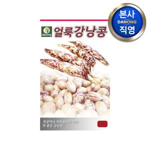 얼룩 강낭콩 씨앗 (왜성) 600g . 비넝쿨성 야채 채소 텃밭 씨 종자