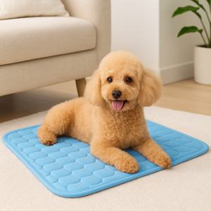 고양이 강아지 애견 쿨매트 쿨방석 쿨링방석 여름 냉감 아이스매트