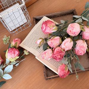 비비안 말린 장미 조화 4colors 드라이 로즈