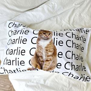 영문속 고양이 60수 long staple cotton 베개커버