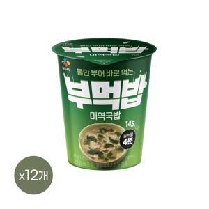 CJ 부먹밥 미역국밥 45g *12개