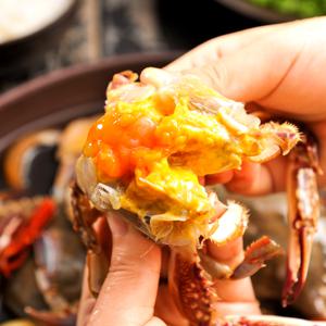 알이 꽉 찬! 마고 삼점게장 2kg+2kg