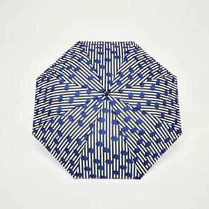 Polkadot stripe 컬러 강철 3단우산