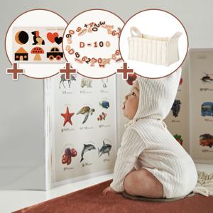 littlelife 마그넷 아기 병풍+투웨이 마그넷 2종+스티치바스켓M 종합세트
