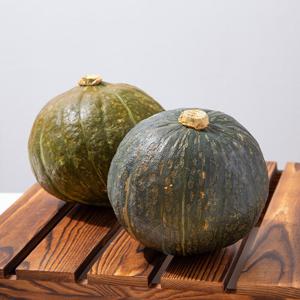 제주 미니 밤호박 (소과 120-270g) 10kg