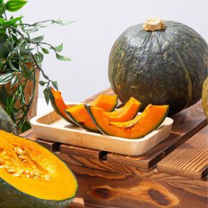 제주 미니 밤호박 (못난이 랜덤과) 10kg