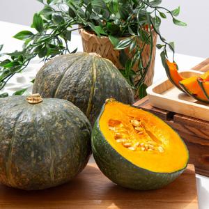 제주 미니 밤호박 (로얄과 270-700g) 10kg