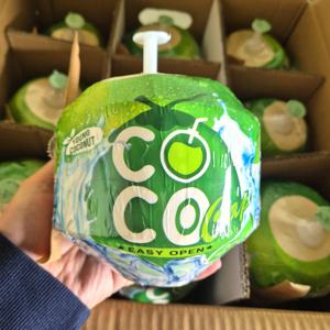 직수입 베트남 영 코코넛 생코코넛 2kg 4kg