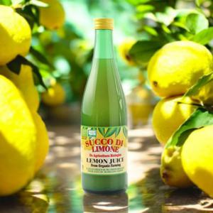 유로푸드 100% 유기농 레몬즙 레몬수 착즙 레몬주스 500ml