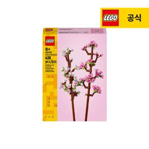 플라워 40725 벚꽃