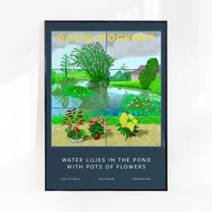 데이비드 호크니 Water Lilies II, 50cm x 70cm