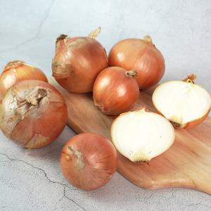 국내산 햇 양파 중 5kg