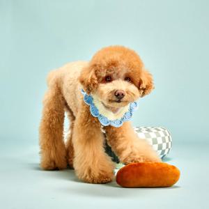 펫본 파스텔 뜨개 케이프 스카이블루