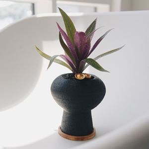 부자란 포춘골드 흑절구화분