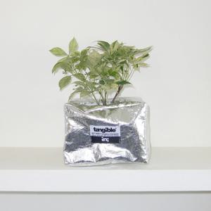 무늬 고려담쟁이 (Parthenocissus henryana) 렉탱글 화분커버 팟커버