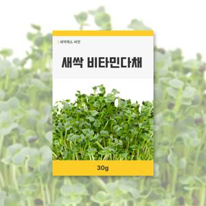 새싹 비타민다채 씨앗 30g 새싹채소 씨앗 새싹 키우기