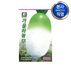가을하늘무 씨앗 500g . 채소 단단한 무우 김장 김치용 텃밭 파종 씨 종자