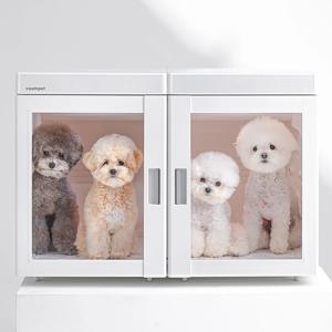 펫드라이룸 단델리온 듀얼