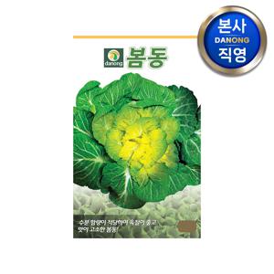 봄동 배추 씨앗 20g . 채소 겉절이 김장 가을 텃밭 파종 월동 씨 종자