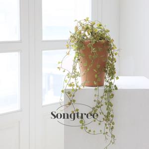 디시디아 하트 바인조화 2-color