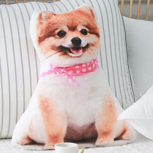 3D 입체프린팅  동물인형 애착쿠션 침대쿠션 소파쿠션-까불이