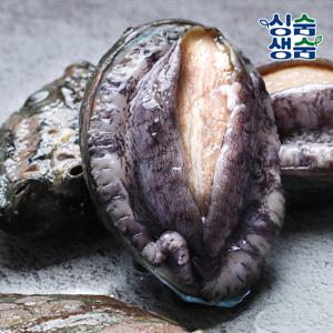 국내산 해남 완도 활전복 고급형 500g(5~6미)+전복칼