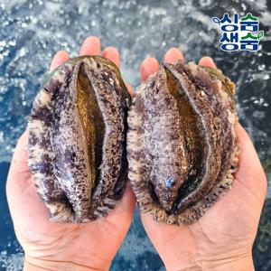 국내산 완도 활전복 선물용 500g(7~8미)+전복칼