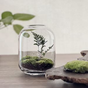 어반 볼륨 테라리움 키트 비단이끼 테라리움 만들기 DIY 선물