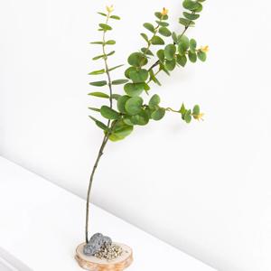 유칼립투스 화분 조화 그린 감성 인테리어 나무 set 27x69cm 조경