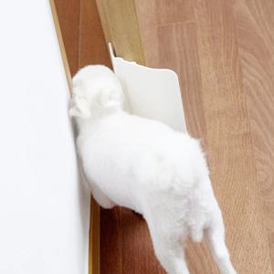 여닫이문 전용 반자동 강아지 고양이 안전문 / 방&화장실용 견문