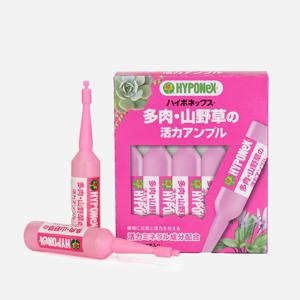 하이포넥스 다육 산야초용 35ml 10개입 앰플형 복합비료 화분 화초 식물영양제