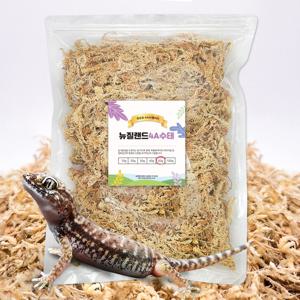 파충류 4A 뉴질랜드 수태 50g 사슴벌레 달팽이 도마뱀 습식은신처