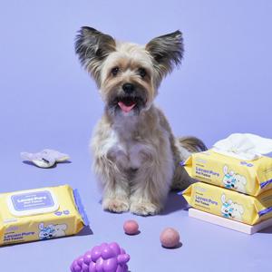 데일리케얼 라비엔 퓨어 펫티슈 강아지 고양이 물티슈 저자극 반려동물 바디티슈