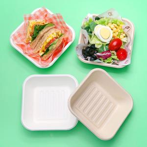 오픈형 일회용 펄프 샌드위치 케이스 샐러드 종이 배달 도시락 용기 50p