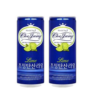 초정탄산수 라임 250ml x 30캔